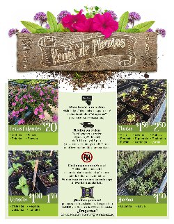 Flyer in Spanish that promotes FFA plant sale.